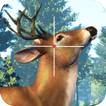 Jungle Deer Hunting Challenge