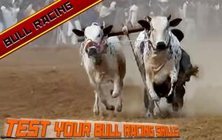 Boerderijdieren Bull Racing 3D-poster