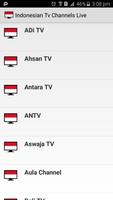 Indonesian Tv Channels Live পোস্টার