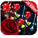Magical Red Rose Live Wallpaper Rose wallpaper app APK