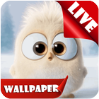 Cute little Bird live wallpaper 2018 biểu tượng