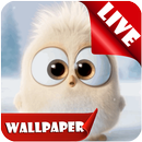 Cute little Bird live wallpaper 2018 free APK