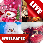 Christmas Live Wallpaper: Merry xmas Gift free Pro icône