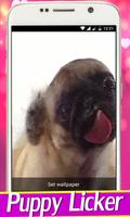 Poster Dog Licker Live Wallpaper 2018 free