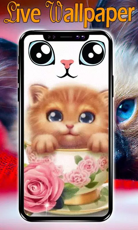 Cute Cat Live Wallpaper Cute Kitten wallpapers APK for Android Download