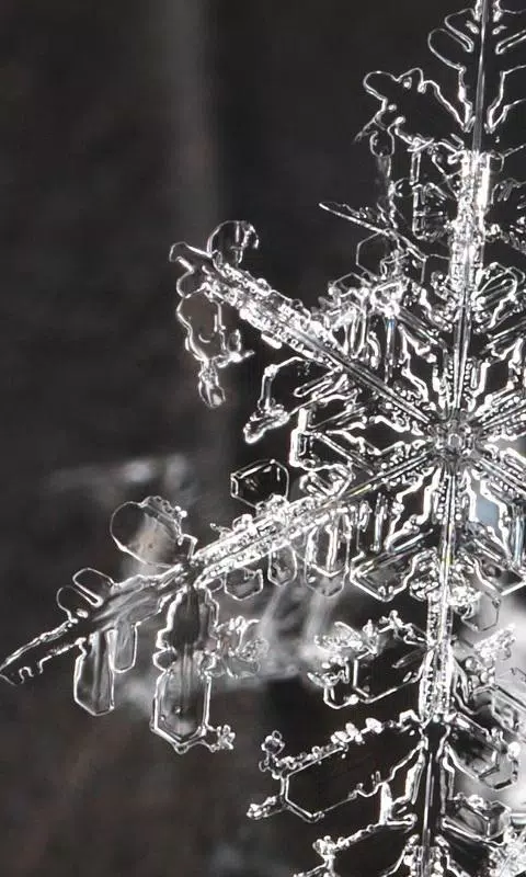 Snowflake wallpaper APK for Android Download Snowflake wallpaper APK for Android Download