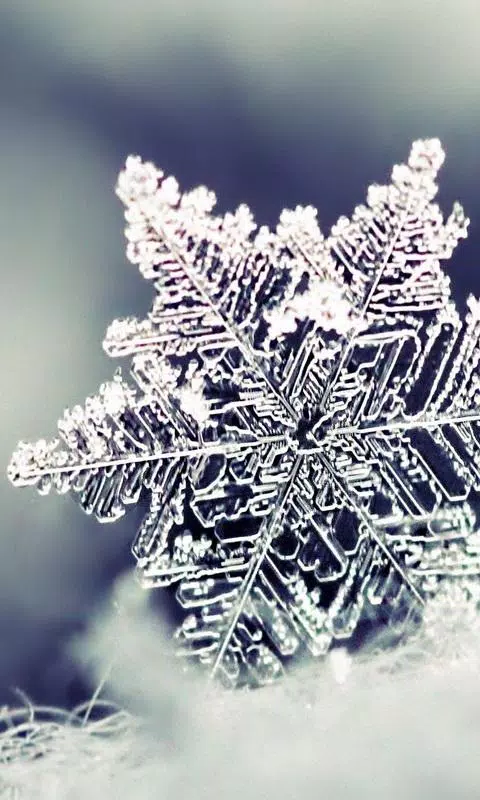 Snowflake wallpaper APK for Android Download Snowflake wallpaper APK for Android Download