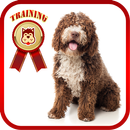 Training Dog aplikacja