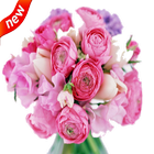 Best Beautiful Flowers Bouquet 2018 icône
