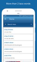 English To French Dictionary captura de pantalla 1