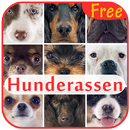 Hunderassen APK