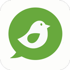 Free Kiwi Q&A Online Chat Tips 圖標