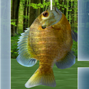 Fishing 3D APK