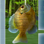 Fishing 3D icône