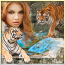 Animal Cadres Photo APK