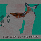 The Way Of The Ninja - Run 2 D أيقونة