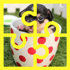Best Free Puzzle For Kids: Puppies! biểu tượng