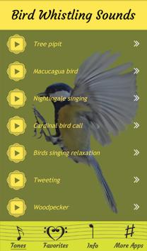 bird whistling sounds