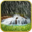 Rain  waterfall live wallpaper