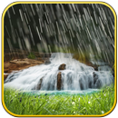 Rain  waterfall live wallpaper aplikacja