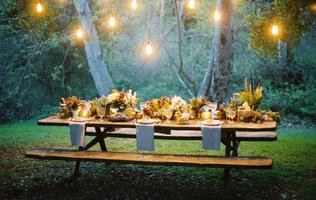 Best Garden Party Idea اسکرین شاٹ 1