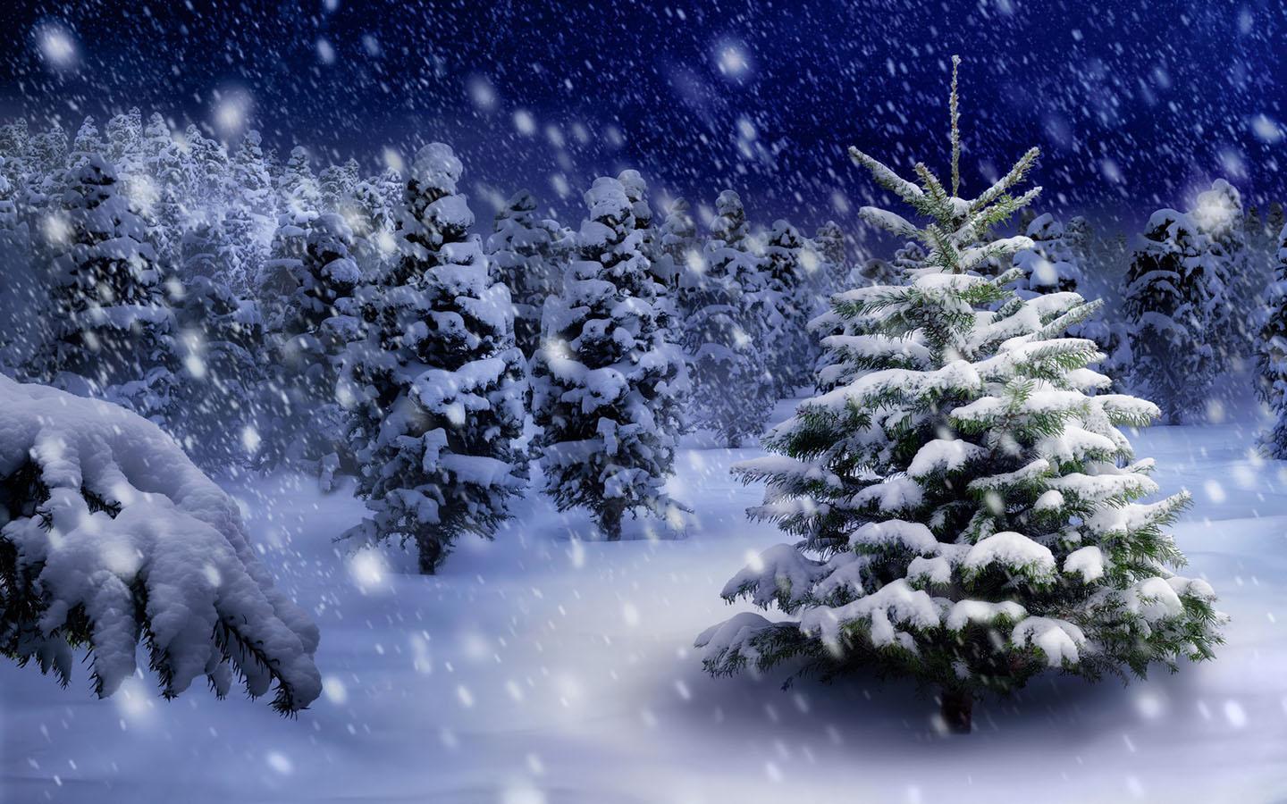 Snowfall Wallpapers APK for Android Download Snowfall Wallpapers APK for Android Download