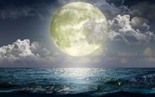 Moonlight Wallpapers اسکرین شاٹ 3