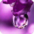 Purple Wallpapers APK
