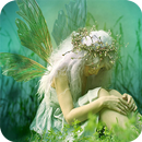 Fairy Wallpaper aplikacja