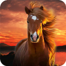 Horse Wallpapers aplikacja