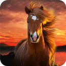 Horse Wallpapers APK