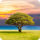 Nature Wallpaper - Wallpapers HD & 4K Backgrounds APK