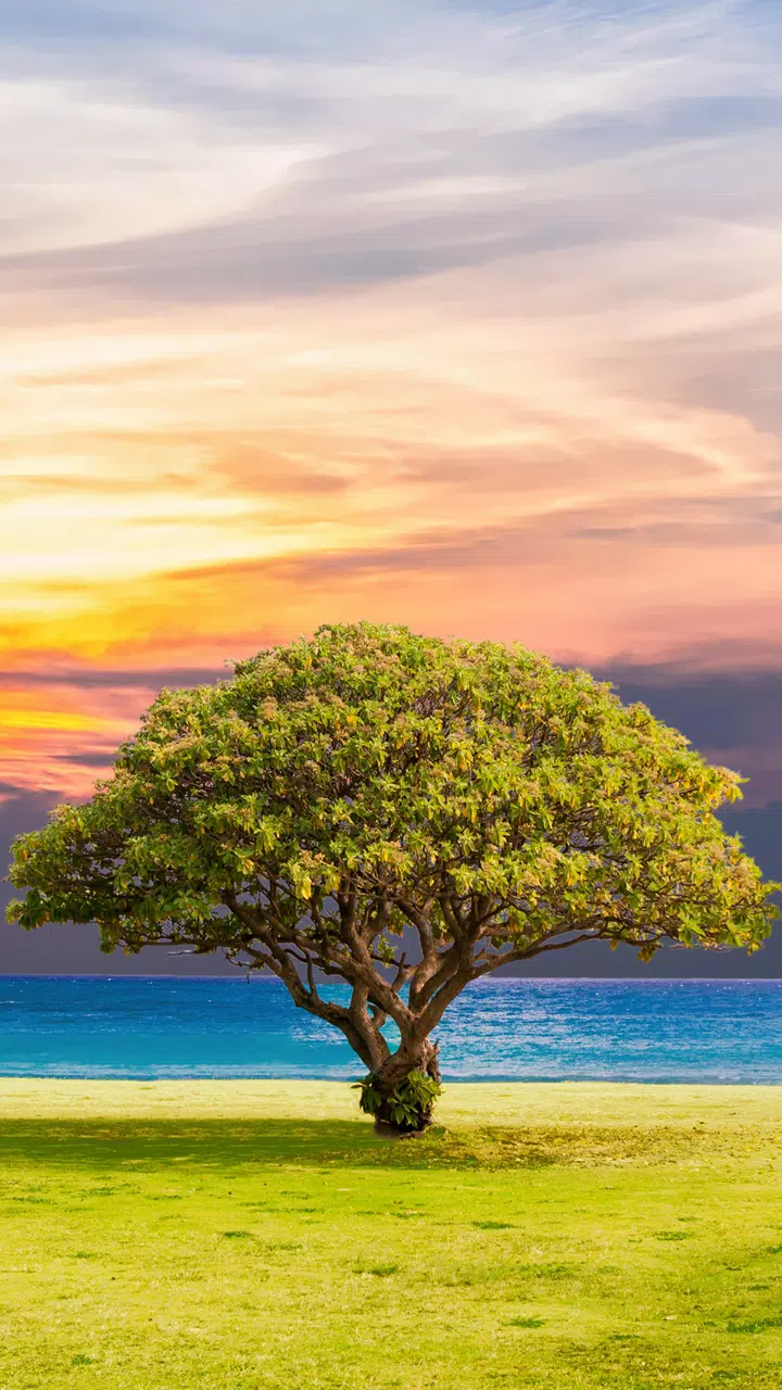 Nature Wallpaper - Wallpapers HD & 4K Backgrounds APK for Android ...