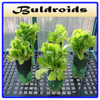 Best Hydroponic Systems icon