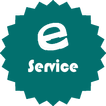 E-Service for Pakistan