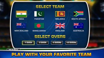 Bash Cricket Champions 2017 capture d'écran 2