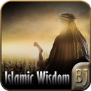 Palavras de Sabedoria Islami APK