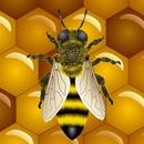 Bee Live Wallpaper APK
