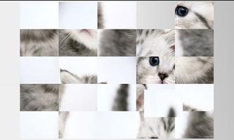 Kolaż zdjęć - Kociaki Cat screenshot 1