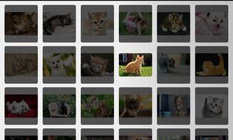 Kolaż zdjęć - Kociaki Cat screenshot 2