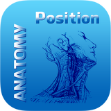 Human Anatomy Position aplikacja