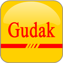 Tips for Gudak Cam APK