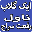Aik Gulab Urdu Novel By Riffat Siraj APK