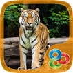 Wild Tiger GO Launcher Theme