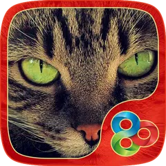 Kitty Theme for GO Launcher