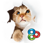 Shy Kitty - GO Launcher Theme biểu tượng