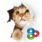 Shy Kitty - GO Launcher Theme icône