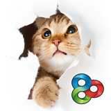 Shy Kitty - GO Launcher Theme ícone