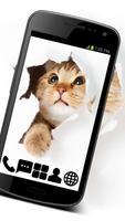 Shy Kitty - GO Launcher Theme постер