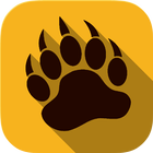 New TunnelBear VPN Review icon